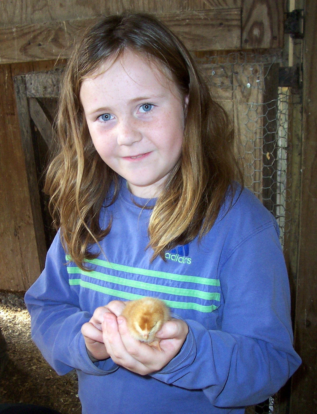 We also got to hold some new baby chicks. Everyone liked that!